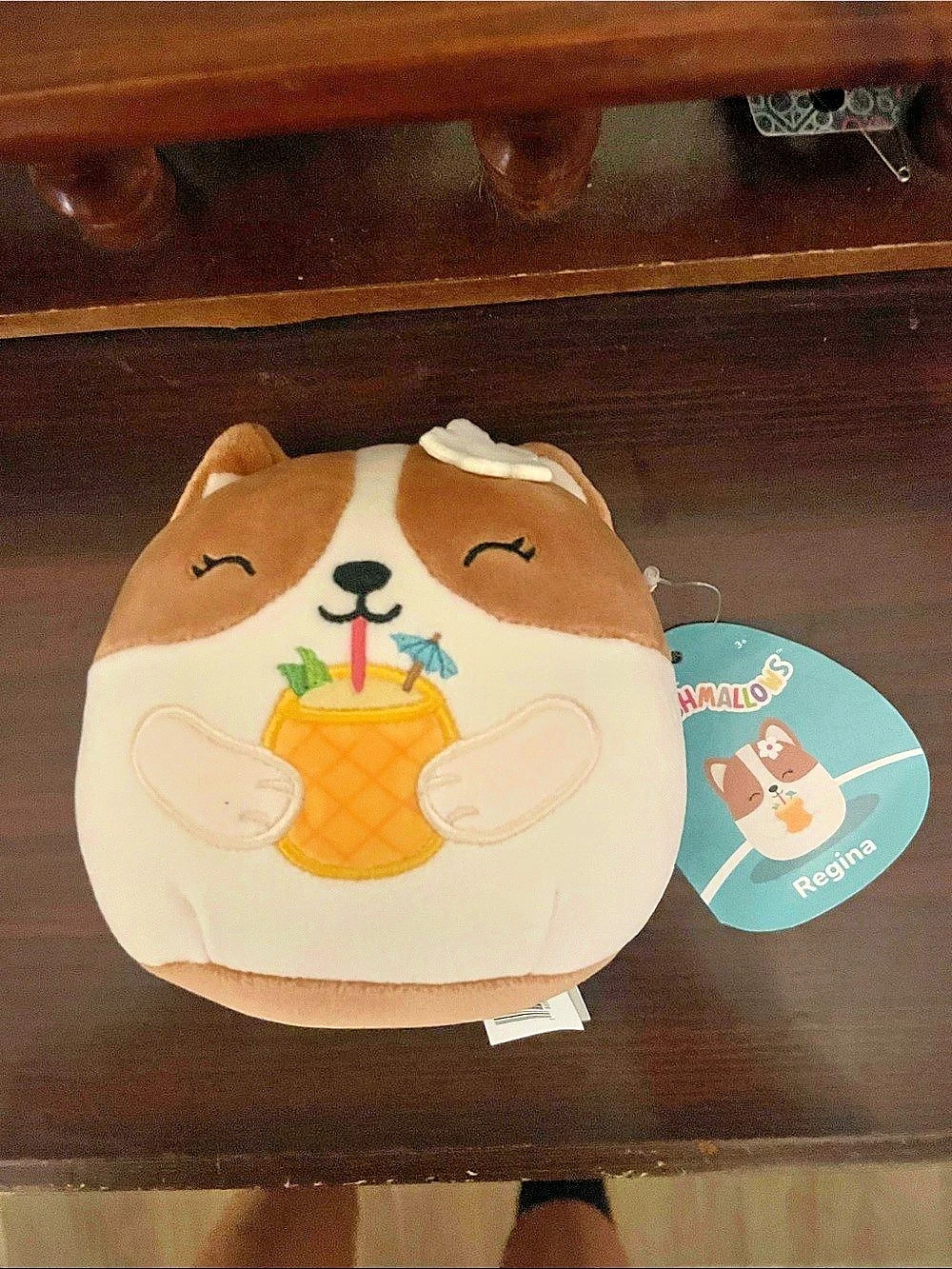 Squishmallows Regina the Corgi with Pineapple Drink the Corgi Plush Brown &